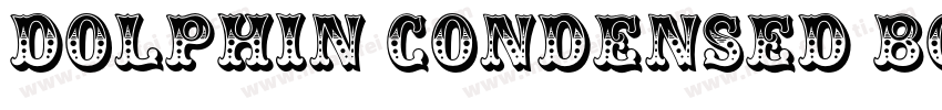Dolphin Condensed Bold字体转换